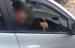 � ����-��� ����������� �������, ������������� ������� � �����