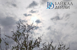 � ������� ��������� �� +12�