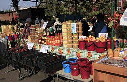 � ����-��� ������ ������� �������� ����� � 2015� (������������)