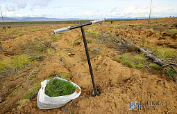 ��������� ���� ������� ��� ����������� ����� ������ �������