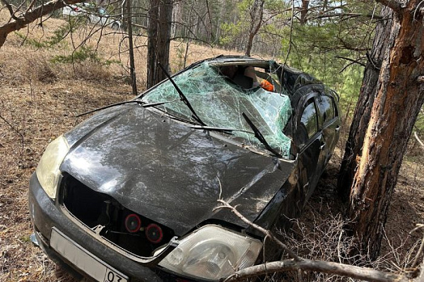 � ������� ������������� ������� �������