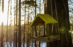 � ����-��� ���� +6