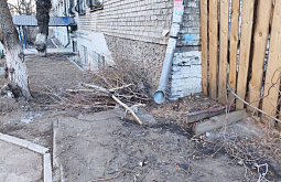 ���������� ���������� ������������� ������ �� ����� �� ������