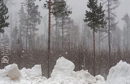 �� ������� ���������� ����������