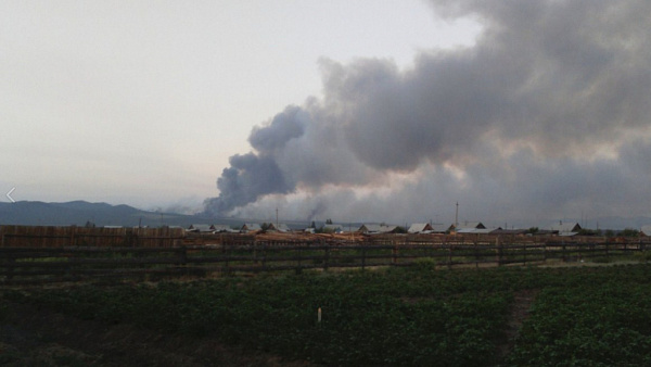 � ������� ����� ��� � 5 ���������� �� ���� (����) 