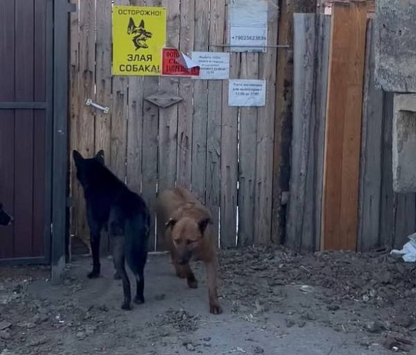 � ������ � ����-��� ������������ ������