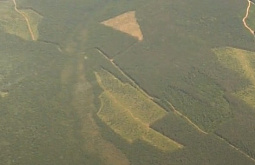 ��������� ������� ������ �������� ���������� �� 15 ��� �3 ���� 