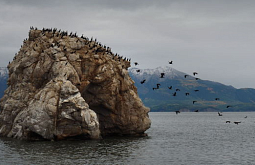 ������������ �������� � ���������� ���������� ������� �� ����