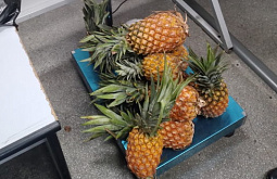 � �������� ������ 118 �� ����������� �������