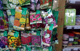 � ����-��� ��������� �������� � ����������� ������ 