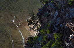 ������ ������ � ��������� ������� 