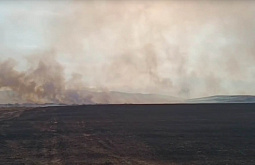 � ������ ������� �������� �������� ��������� ����� �� ���� 