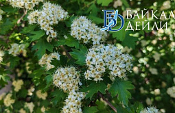 � ������� ������� ��������� �� +20 ��������