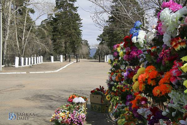 � ������������ ���� ����-������� ����� ������ �� �������