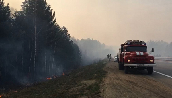 В Иркутской области лес вспыхнул после заезда квадроциклов