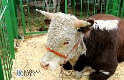 � ������� ��������� ������ ���������� ��������� ���������