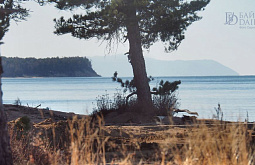 ����������: ����� ��������� ����� ������� � ����������������� ������ ��� ������ ����� ������