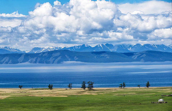 ����������� � �������� � ���� ���������� � �������� ������