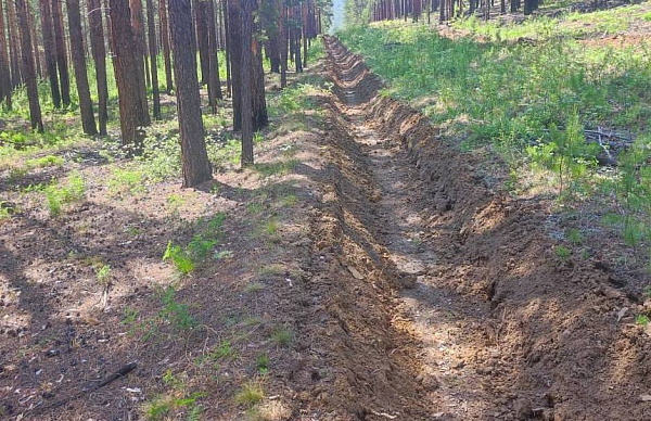 � ����� ����-��� ������ ���������� � �������������� ������