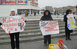 ����������� �������� ����������� � ������� � ��������� �������