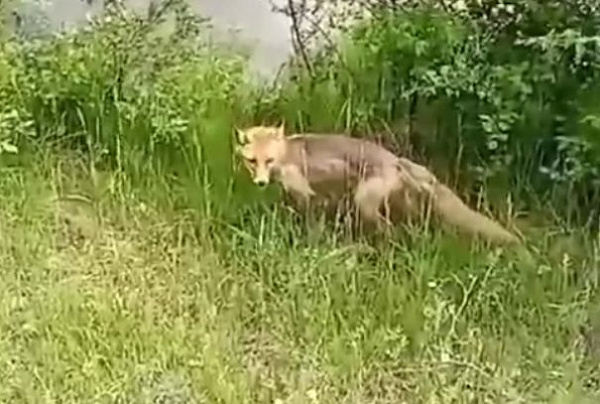 ������� �� ����-��� ��������� � �������� 