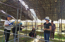 � ������� ������������ ���������� ������ �������� ����� �����