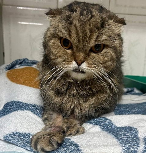 � ������� ������ �������� ������ ��� �������� ����������������� ������