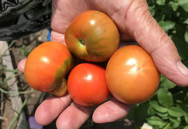 � ���������� �������� �������� ����� ���������� �������������