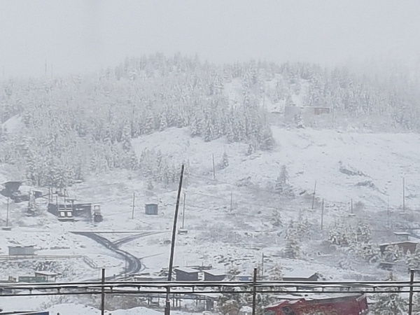 ������� �������� ������