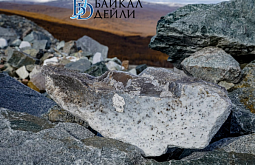 ������ ������� ����������� �� 100 ����� �� ������