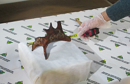 ����� ������� ������� 33 ����� ����� � ����� 