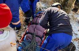 � ��������� ������� ������ �����������, ������� ����� ����� �� �����������