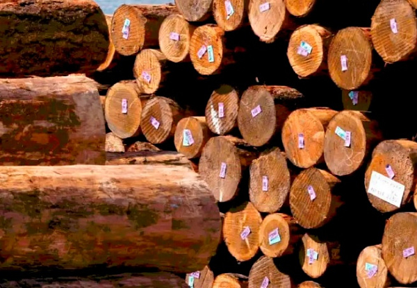 ����� ���� ������ � ������� ������ 17,8 ����� ���������� ����������� ���� 