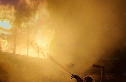 ��� �� ������ ������� 12 ����� �������� �� ����