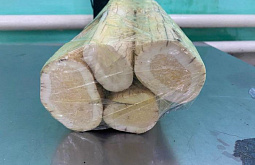 ��������� ����������� �������� ����������� ������ �����