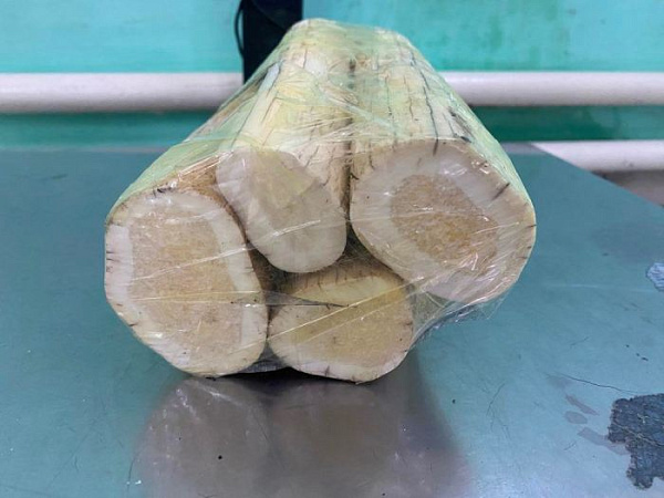 ��������� ����������� �������� ����������� ������ �����