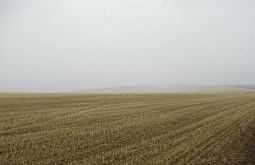 � ����-��� ����������� ���� 11 ��� ��� ��������� ��������� �������