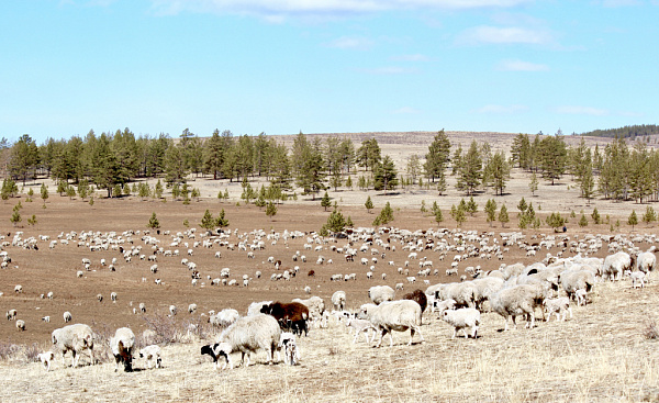 �������� ������� ������ 21-������ ������ �� ����������� ���������