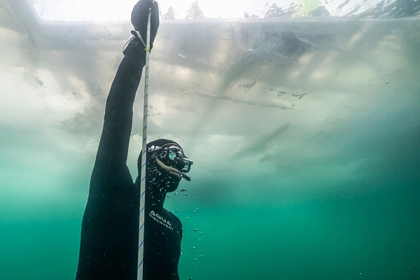 �� ������ ������� �������� ����� ������� �� �����������