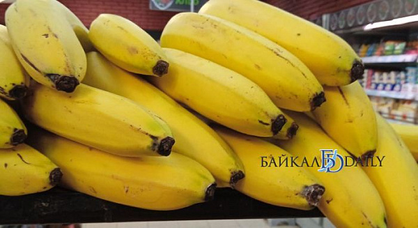 ������� ������� ����������, ����� ������ ������� ���� ����� 