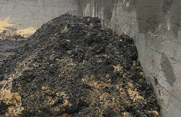 � ������� �������� ����� ���������� ������������ ���������