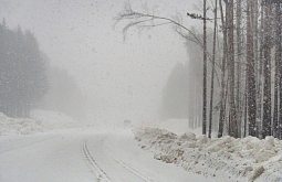 � ������� ���������� ������ �����