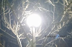 �� ����� � ���� ������� ���������� ����