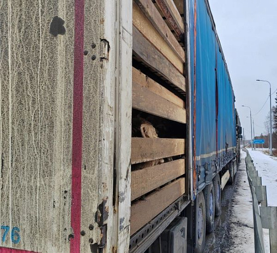 � ��������� ������� �������� ���������� ��������� 65 ����� �����