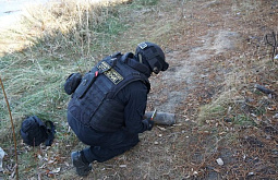 ����-������ ����� �� ������ ���� ������