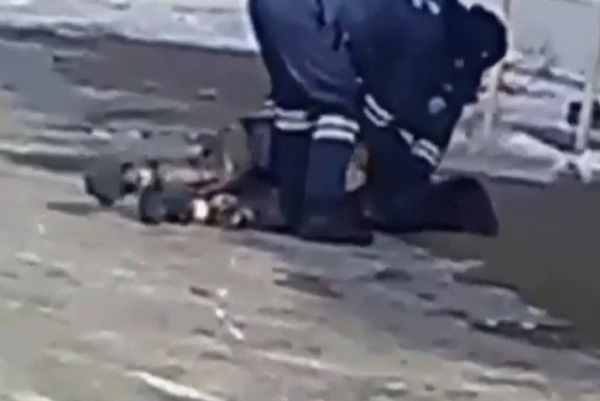 � ������� ������ ������� ����� ����������� ���. ����� 