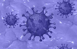 Круг контактировавших с больными коронавирусом в Бурятии - более 200 человек 
