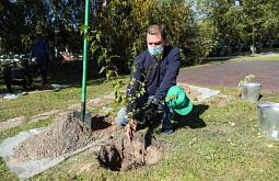 ����� ��������: ������, ����� ������ ������, ������� �� ����������, ���������� 