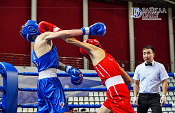 Бичура примет республиканский турнир по боксу