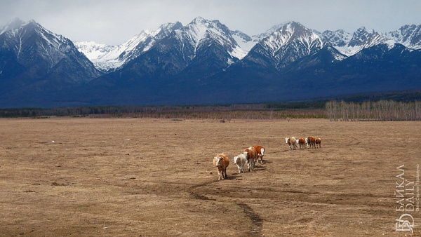 ��������� ������� � ������� ������� ��� ������ ��������